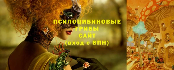 марки nbome Алексеевка