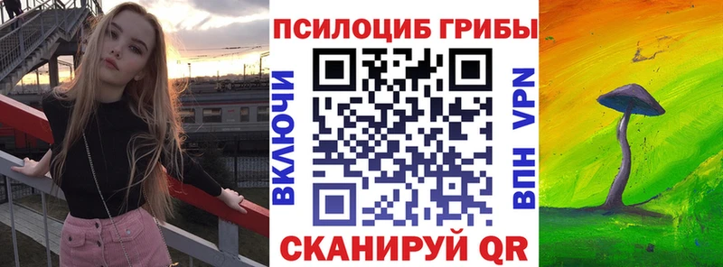 Псилоцибиновые грибы мухоморы  кракен рабочий сайт  Зерноград 