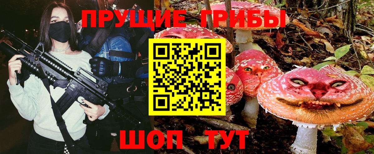 Псилоцибиновые грибы Psilocybine cubensis Зерноград