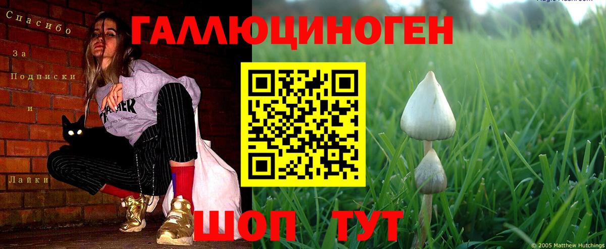 Псилоцибиновые грибы Cubensis  дарнет шоп  Зерноград  Вход с VPN 